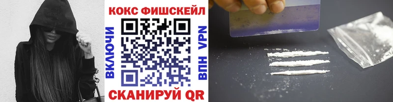 COCAIN Fish Scale  где купить наркоту  Петушки 