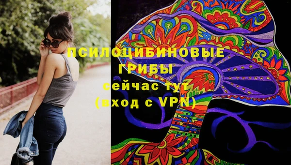 твердый Алексеевка
